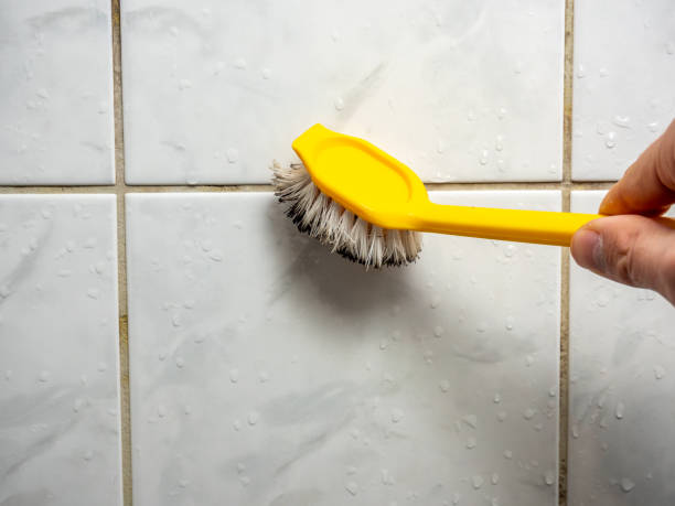 Best Emergency Mold Removal  in Glendora, CA