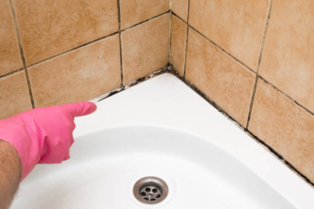 Best Mold Testing and Removal  in Glendora, CA